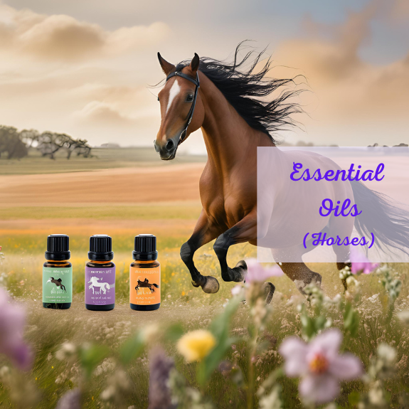 The Ultimate Guide to Using Essential Oils in Horses