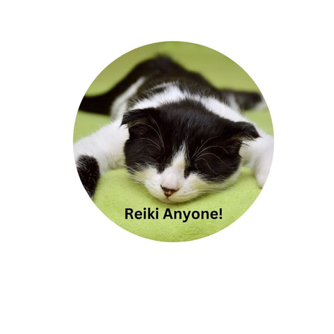 What is Animal Reiki?