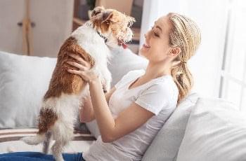 Animal Communication Course -  Online