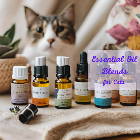 Essential Oil Blends for Cats