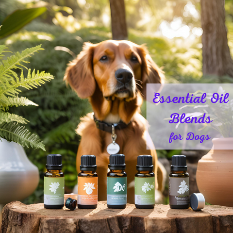 Essential Oil Blends for Dogs