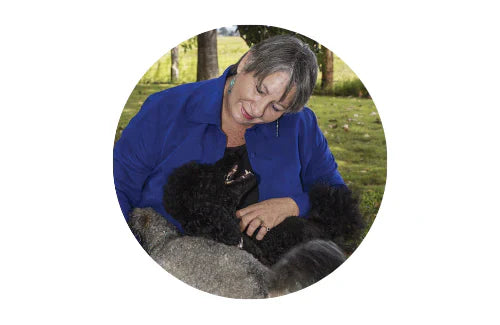 Healing Energy | Holistic Healing, Animal Communication, Pet Accessories