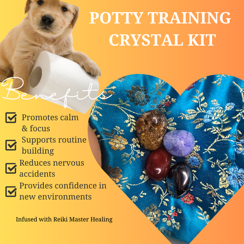 Crystals for Puppies Struggling with Toilet Training