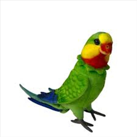 Poseable Superb Parrot 30cm