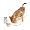 CAT FOREST Classic Tuna White Meat In Gravy Cat Canned Food 85G X 24