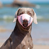 Cartoon Dog Mouth Cover Anti-Bite Nylon Dog Mask - Size L - Blue - L