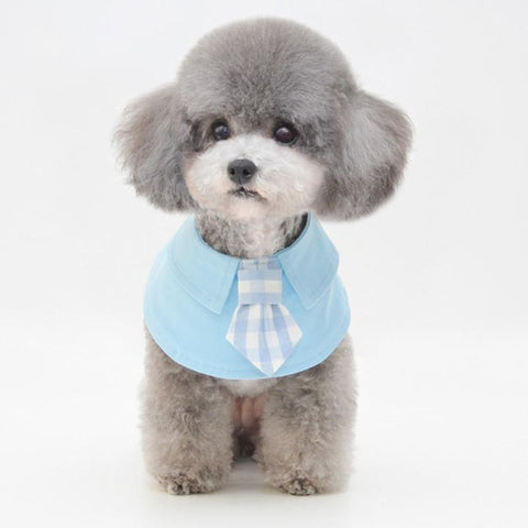 Pet Shawl Scarf Saliva Towel Dog Clothes Accessories - Size L - Blue
