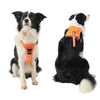 Vibe Geeks Ultimate 2-in-1 Reflective No-pull Dog Harness with Retractable Leash and Control Handle - Red - M