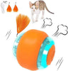Interactive Electric Cat Toy Ball – Rechargeable Smart Rolling Pet Ball