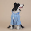 3XL Blue Cute Dog Hoodie with Adjustable Drawstring - Available in Various Sizes