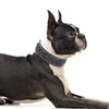 Size S Brown 1 pack Stylish PU Leather Dog Collar with Spikes - Adjustable, Durable & Comfortable for Medium to Large Breeds