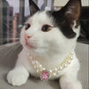 3-pcs Pink Diamond  Double Strand Pearl & Rhinestone Pet Necklace - Luxury Collar for Cats & Dogs Size L (30-36cm)