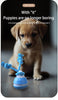 Blue 2-pcs Interactive Dog Toy - Self-Moving Ball with Rope, Boredom Buster (With Bird Calls)