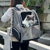 Black Foldable Pet Carrier Backpack - Breathable Mesh Travel Bag for Cats & Small Dogs