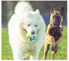 2 Pcs Light Green And Green Interactive Pet Treat Dispensing Ball - Food-Grade Silicone Rolling Toy for Dogs with 1.5 cm Leakage Hole
