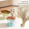 Blue and Pink Ceramic Slow Feeder Pet Bowl for Cats and Small Dogs - Anti-Choke Elevated Design with 15-Degree Tilted Rim