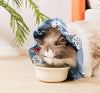 2 Pcs Size S Blue Comfortable Pet Recovery Collar | Waterproof Anti-Lick Collar for Cats & Dogs