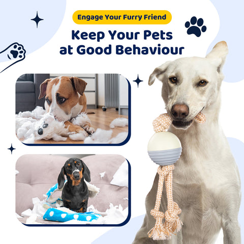 Durable Knot Rope and Ball Dog Toy - Interactive Chew and Tug Play for Pets