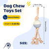 Durable Knot Rope and Ball Dog Toy - Interactive Chew and Tug Play for Pets
