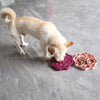 Silicone Dog Slow Feeder and Licking Mat - 2 in 1 Puzzle Bowl for Dog Slow Feeding(Dark gray)