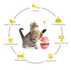 Cat Teaser Cup Toy, Interactive Treat Dispensing Ball with Wand (Pink)