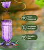 Elegant Hanging Hummingbird Feeder - Decorative Glass Nectar Bottle with Ant Moat, 6 Feeding Ports(Purple)
