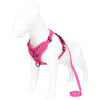 Rose Red Reflective Mesh Dog Harness and Leash Set - Adjustable No-Pull Vest - L