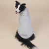 Grey Classic Dog Sweatshirt with Hood & Drawstrings - For Large Dogs (Size : 4XL)