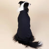 Black Classic Dog Sweatshirt with Hood & Drawstrings - For Large Dogs (Size : 2XL)