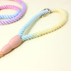 Colorful Vibrant Rainbow Ombre Rope Dog Leash - Durable Nylon P-Chain Slip Lead for Small & Medium Breeds