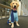 6XL Recommended 50-60 Pounds Blue Autumn-Winter Dog Hoodie for Medium to Large Breeds - Golden Retriever & Labrador