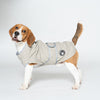 55# Grey Waterproof Reflective Dog Raincoat for Small to Large Dogs