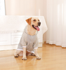 Autumn/Winter Dog Clothes - Grey Hoodie with Striped Hood & Baseball Bear (Size - L)