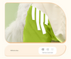 Colorblock (White Green) Dog Raincoat - Waterproof with Hood and Reflective Strips (Size L)