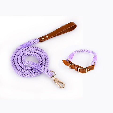 Premium Leather Pet Collar and Leash - Soft, Strong Braided Rope (Purple - Size M)