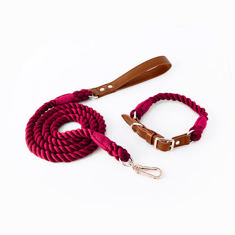 Premium Leather Pet Collar and Leash - Soft, Strong Braided Rope (Wine red - Size L)